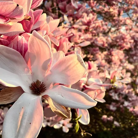 La Lumineuse Du Moulin Villa Saint-Germain-sur-Bresle