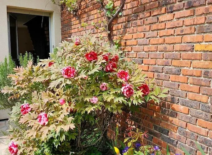 La Lumineuse Du Moulin Saint-Germain-sur-Bresle