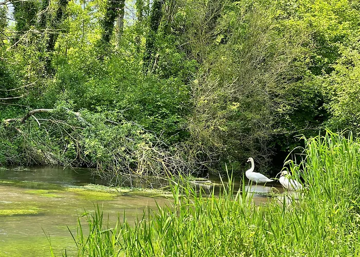 La Lumineuse Du Moulin